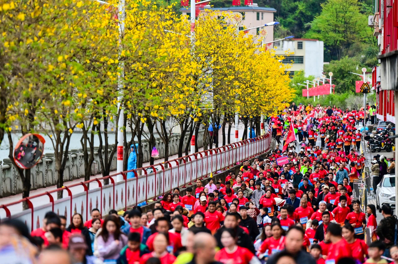 1753172580915285.jpg ad524dde831b5507b5a49cd01bffb4e.jpg