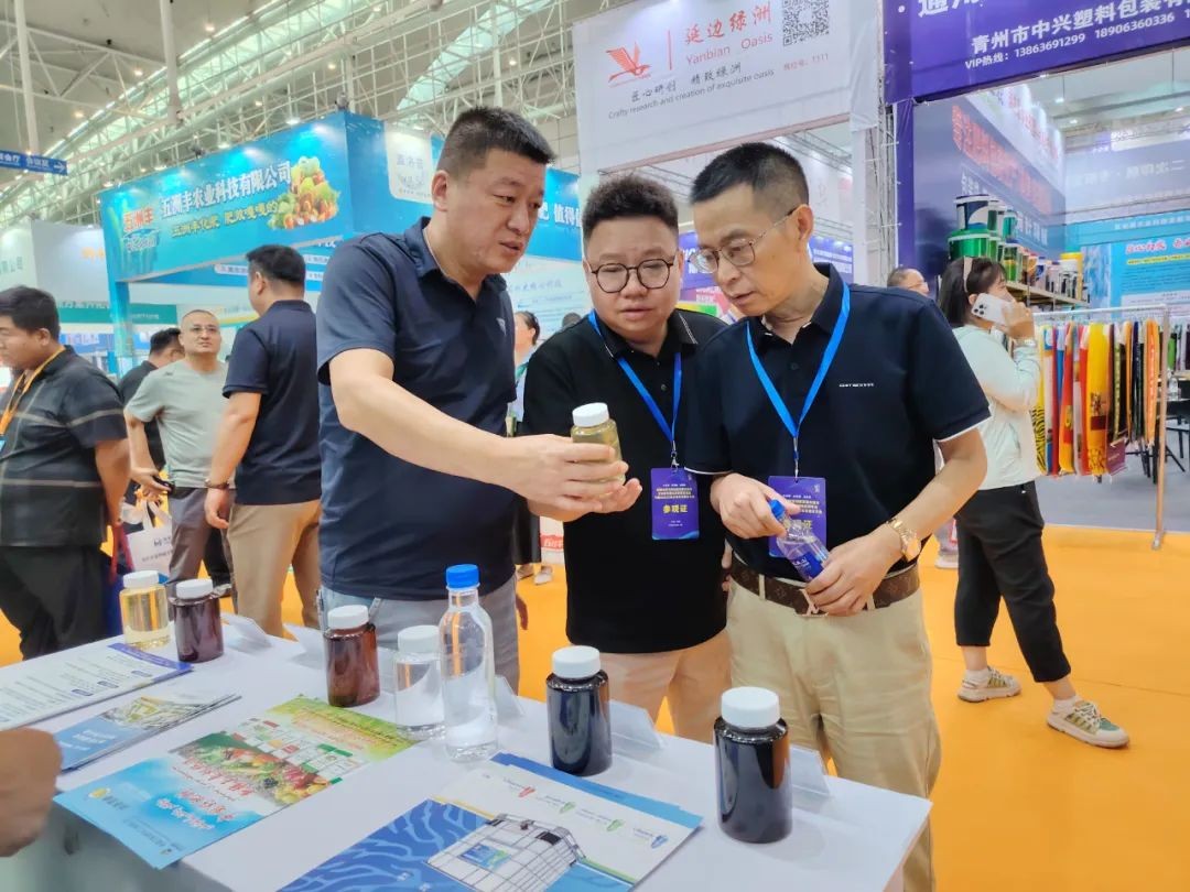 1755222705109404.jpeg 丝路雪峰1.jpeg