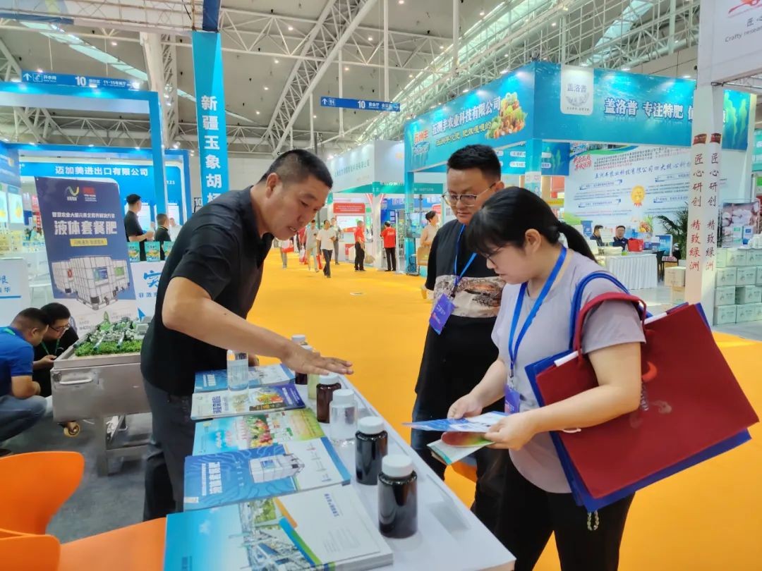 1755222728184649.jpeg 丝路雪峰3.jpeg